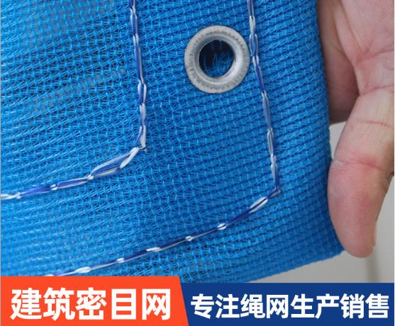 大连蓝安全网